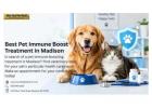 Best Pet Immune Boost Treatment in Madison | Get Care