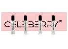 Luxury Perfumes for Men & Women | Celeberry