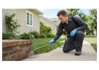 Pest Control Bristol Prices and Service Costs