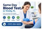 Same Day Blood Test in Trinity, FL | Fast & Convenient Lab Testing
